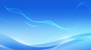 2024年第三季度报告