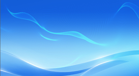 2025年第一季度报告