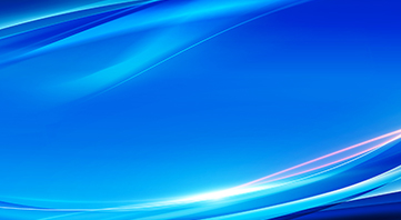 2025年半年度报告